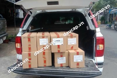 Đi nhanh đơn hàng Đầu cáp T-Plug 3M 24kV 3x1Cx70