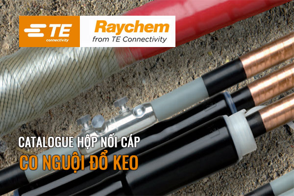 Catalogue hộp nối cáp co nguội đổ keo Raychem TE