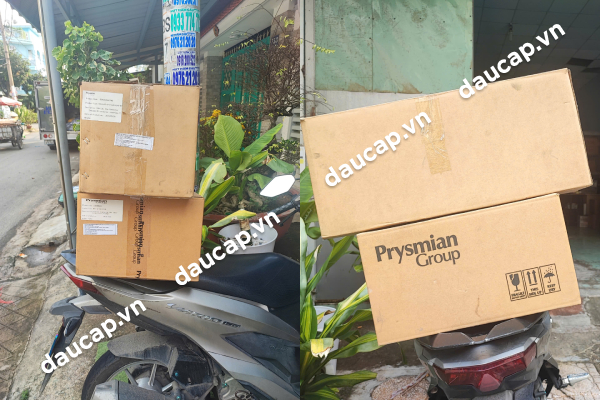 Giao hàng đầu cáp Prysmian T-plug 3 pha 24kV 240mm2