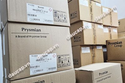 Cung cấp đầu cáp T-Plug Prysmian chính hãng