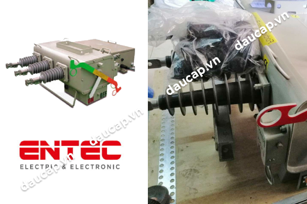 Cầu dao phụ tải LBS Entec