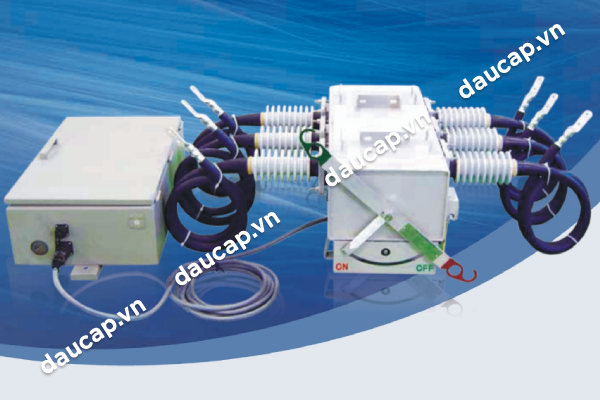 Cầu dao phụ tải LBS S&S model PT