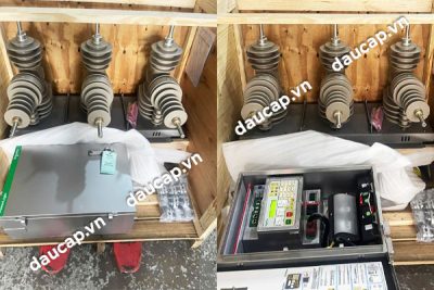 Recloser Schneider - Thiết bị đóng cắt tự động