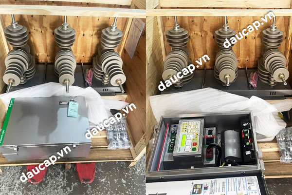 Recloser Schneider - Thiết bị đóng cắt tự động