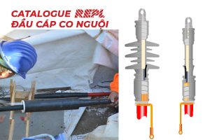 Catalogue REPL Đầu cáp co nguội