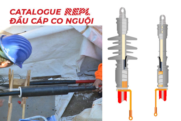 Catalogue REPL Đầu cáp co nguội